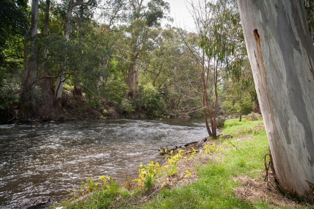 Oscar'S On The Yarra Hotel Warburton Phòng bức ảnh